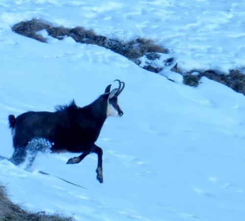 qqes rencontres en hiver