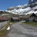 alpage de Bise